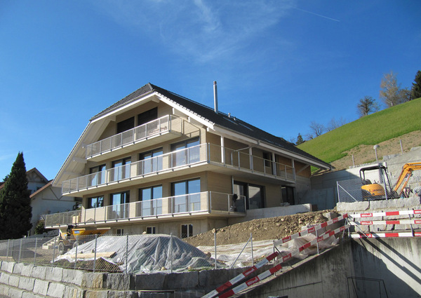 Neubau Einfamilienhaus, Langnau